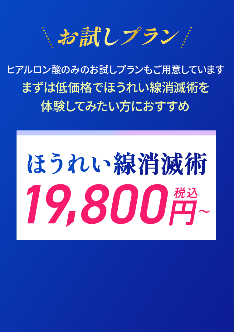 お試しプラン 19,800円(税込)〜