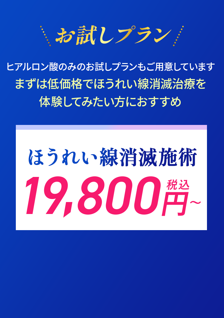 お試しプラン 19,800円(税込)〜